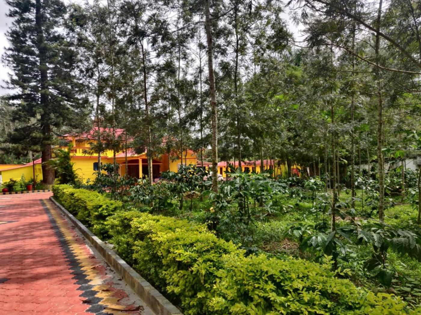Coffeebean Villa - Unwind & Rejuvenate Sakleshpur Exteriér fotografie