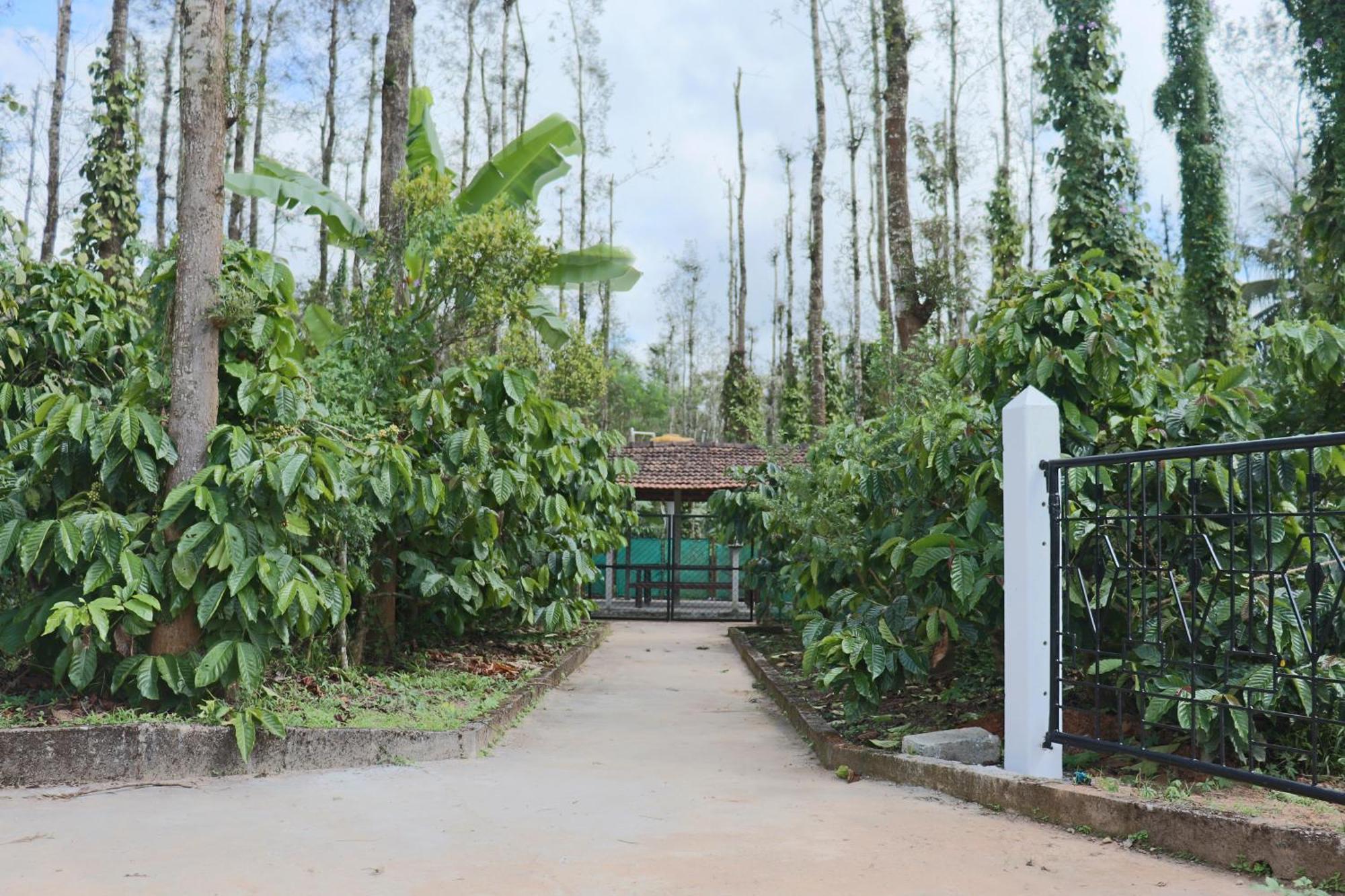 Coffeebean Villa - Unwind & Rejuvenate Sakleshpur Exteriér fotografie